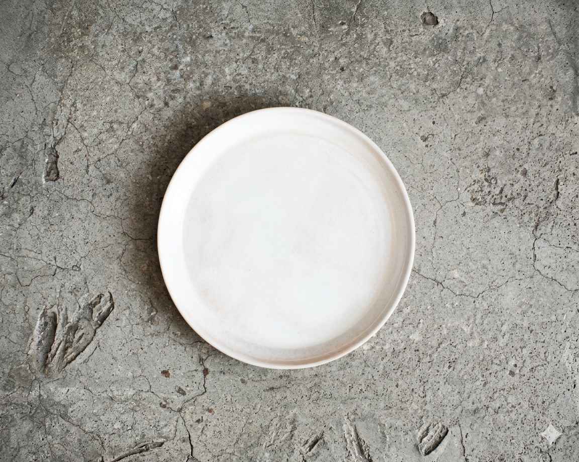 NEXØ Dinner Plate - Snow